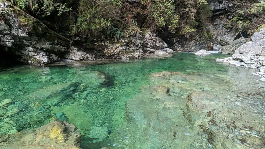 Grouse Mnt+StanleyPark+Hatchery+Cleveland Dam+LynnCanyonTOUR - Is $145 a fair price?