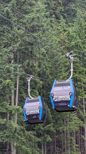 Grouse Mnt+StanleyPark+Hatchery+Cleveland Dam+LynnCanyonTOUR - Weather, clothing, and the pace