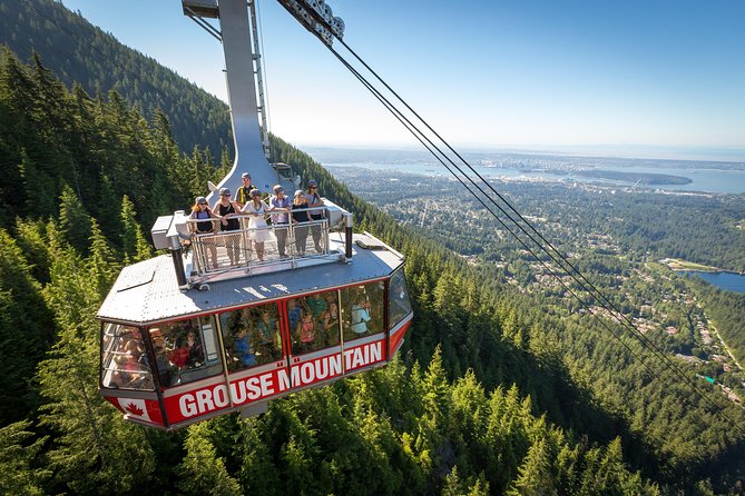 Grouse Mountain Admission Ticket - What Your Peak Experience Ticket Covers