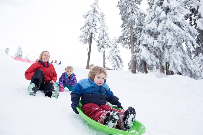 Grouse Mountain Admission Ticket - Food, Shopping, and Extra Costs at the Top
