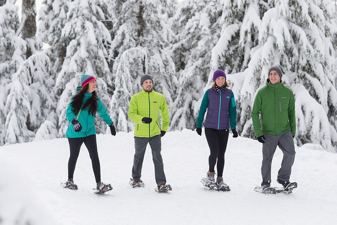 Grouse Mountain Admission Ticket - Crowds, Accessibility, and Getting Back Downtown