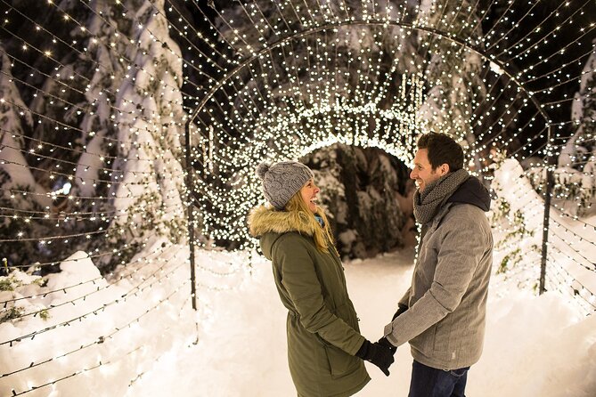 Grouse Mountain Admission Ticket - Who Will Get the Most From Grouse Mountain