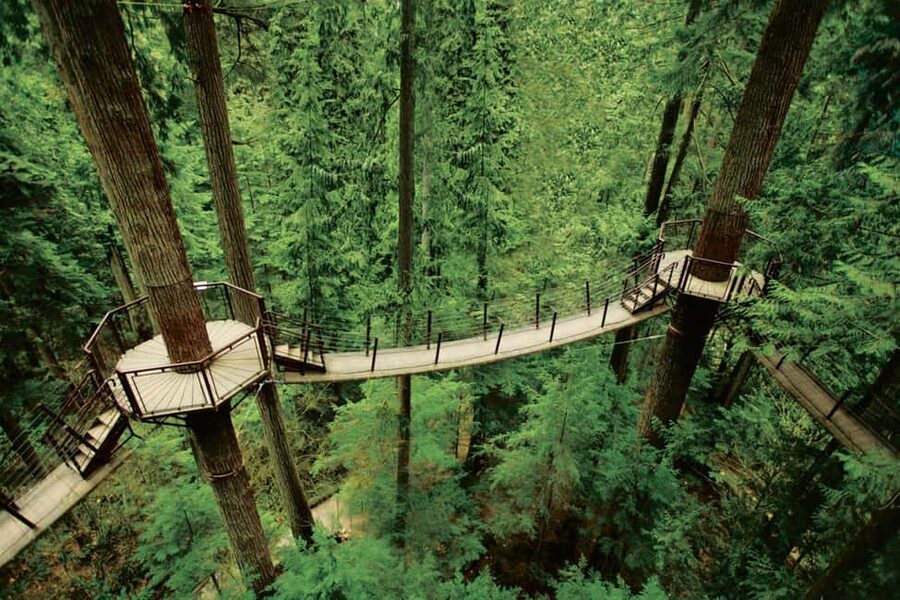 Grouse Mountain, Capilano Bridge & Fish Hatchery Tour - Should you book the Grouse Mountain and Capilano tour?