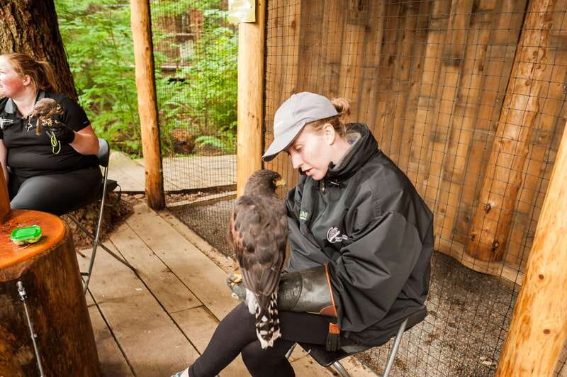 Grouse Mountain, Capilano Bridge & Fish Hatchery Tour - Is $192 a fair price?