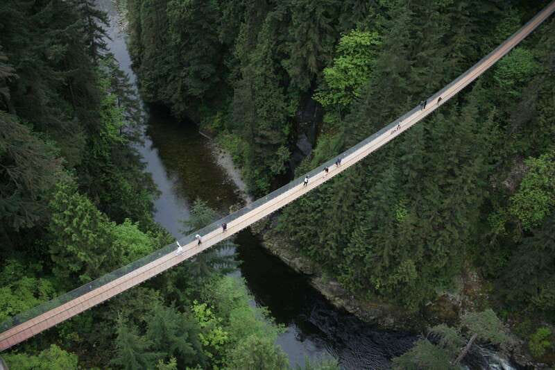 Grouse Mountain, Capilano Bridge & Fish Hatchery Tour - Who should book this tour?
