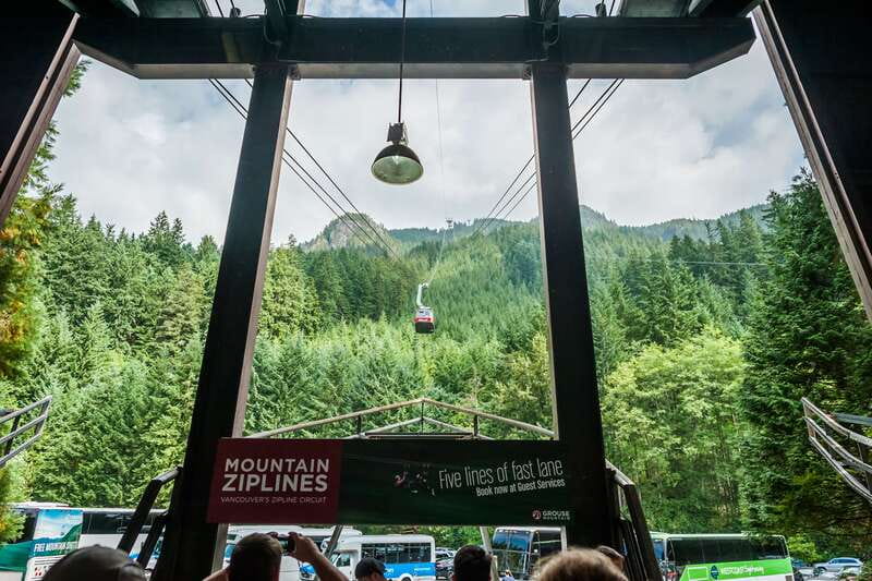 Grouse Mountain, Capilano Bridge & Fish Hatchery Tour - Grouse Mountain, gondola views and mountain attractions