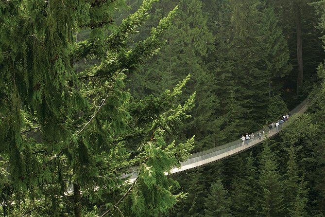 Grouse Mountain & Capilano Bridge Tour with Fish Hatchery - Three North Shore sights in one well-packed day