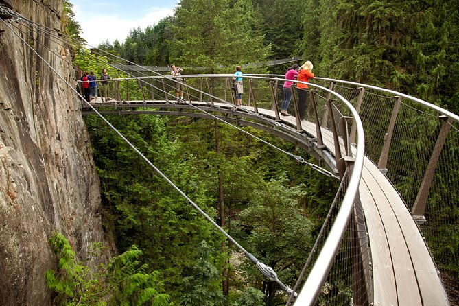 Grouse Mountain & Capilano Bridge Tour with Fish Hatchery - Grouse Mountain Skyride and the attractions at the top