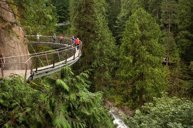 Grouse Mountain & Capilano Bridge Tour with Fish Hatchery - The guide and vehicle shape the day