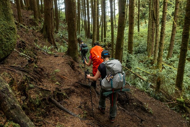 Guided Vancouver Hiking Highlights Day Tour with Gondola Download - The included gondola ride is more than a convenient exit