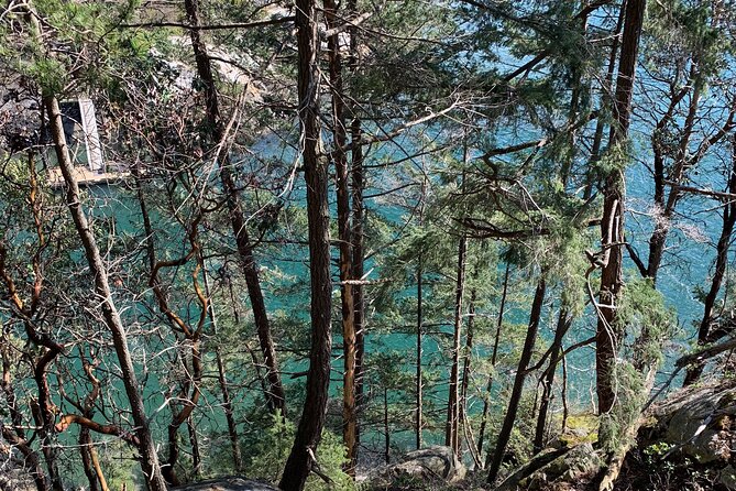 Half-day Hike and Bike Tour in Vancouver - Lighthouse Park: Six Kilometers Through Giant Trees