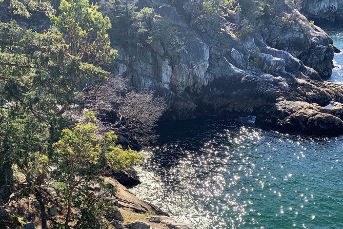 Half-day Hike and Bike Tour in Vancouver - Who Will Enjoy This Best?