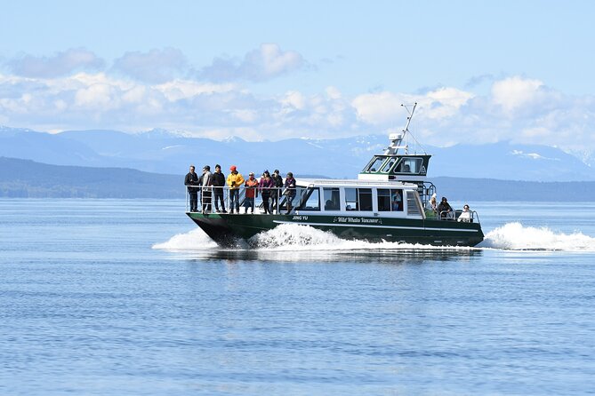 Intimate West Coast Whale Watching - Partly-Sheltered - Why this whale trip can produce a memorable sighting