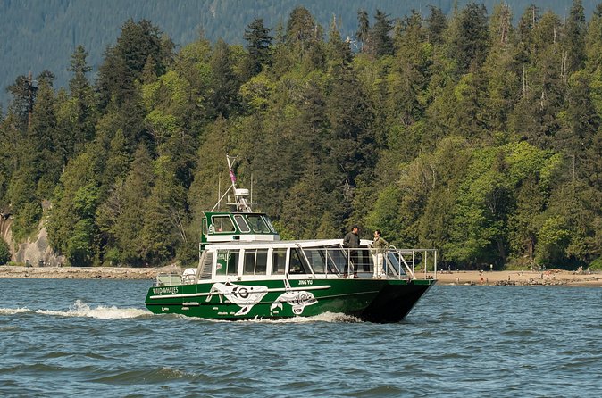 Intimate West Coast Whale Watching - Partly-Sheltered - Practical preparation for the departure