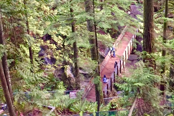 Mesmerizing Nature Walk in Lynn Canyon Park - Who will get the most from this outing