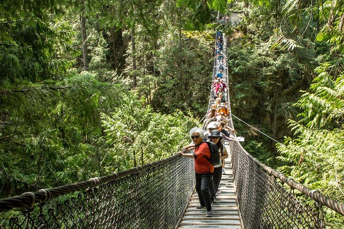 Mesmerizing Nature Walk in Lynn Canyon Park - Walking through the North Shore rainforest