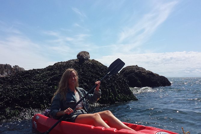 Morning Kayak & Seal Cruise in Vancouver - Key points to know before booking