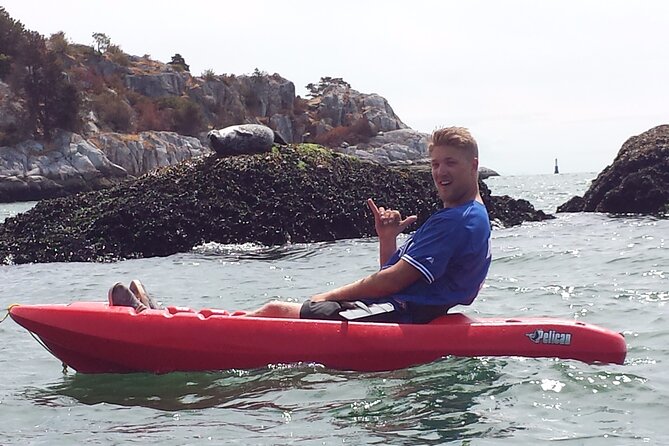 Morning Kayak & Seal Cruise in Vancouver - Why the Horseshoe Bay setting makes this outing special