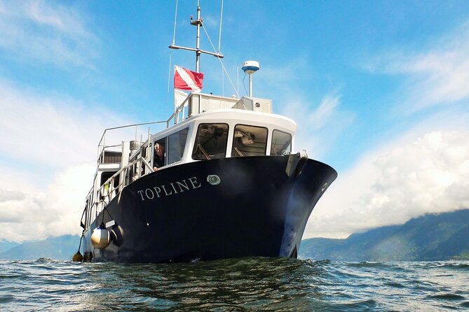 Morning Kayak & Seal Cruise in Vancouver - Price, group size, and what is included