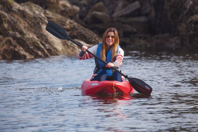 Morning Kayak & Seal Cruise in Vancouver - Who will get the most from this outing