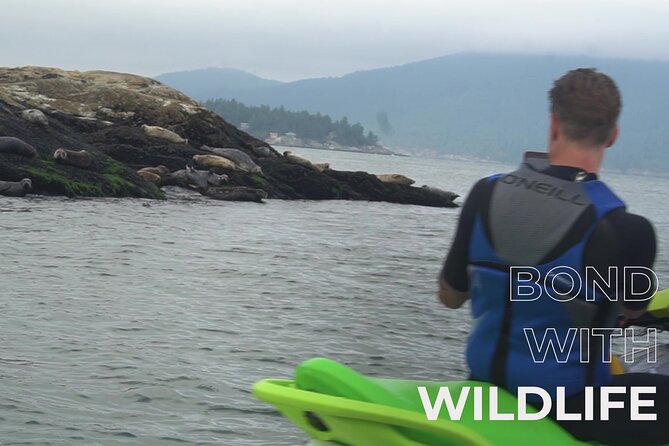 Ocean is Yours Seadoo Experience from Vancouver - The early departure is worth protecting