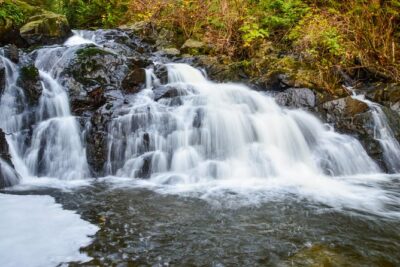 Photography, Hiking & Ferry to Bowen Island