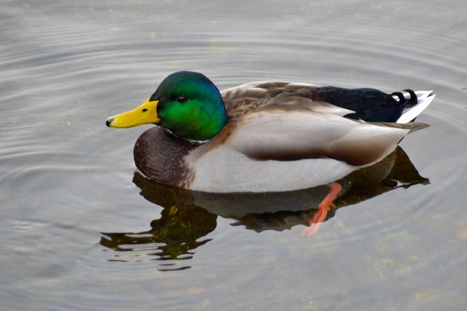 Photography, Hiking & Ferry to Bowen Island - The value of complimentary photos