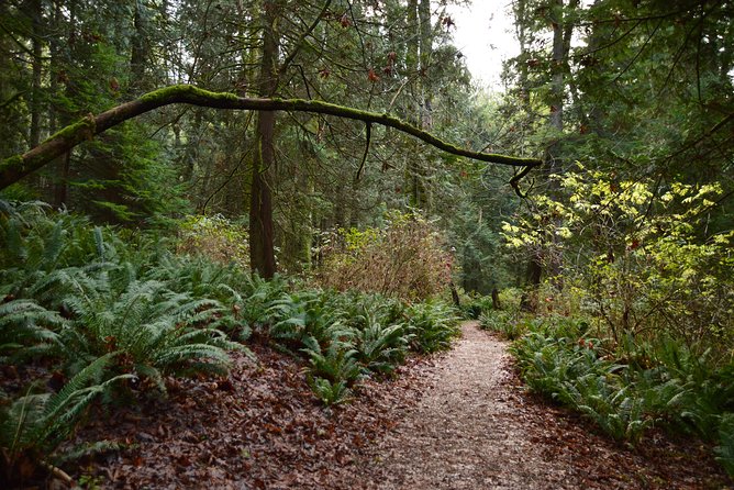 Photography, Hiking & Ferry to Bowen Island - Who will enjoy Bowen Island most