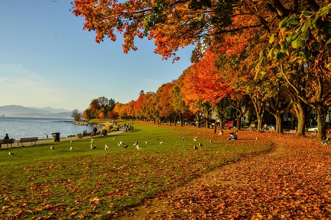 Photography & Hiking in Nature - Stanley Park links totems, seawall, and old trees