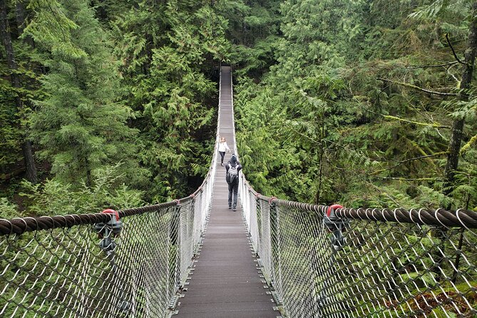 Photography in Rainforest & Suspension Bridge - Why this Vancouver photo walk works