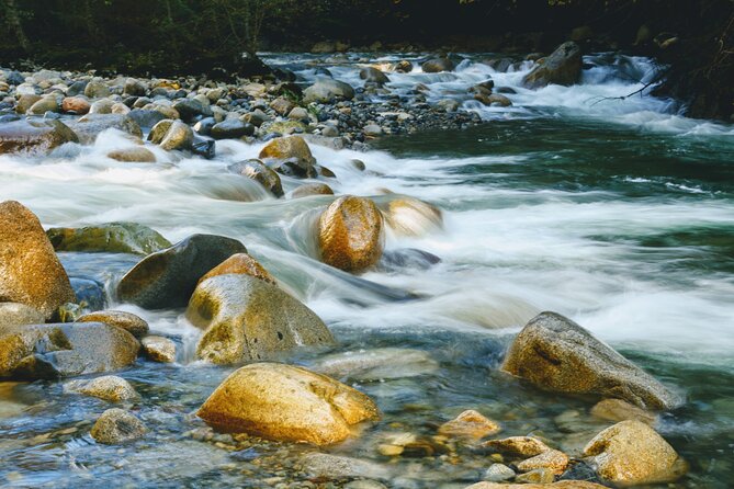 Photography in Rainforest & Suspension Bridge - The photography lesson: useful skills, not camera talk