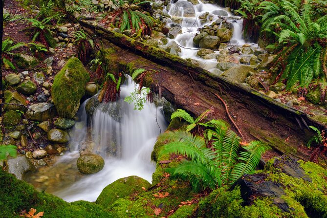 Photography & Intermediate Hiking - Leaving Vancouver for Deep Cove