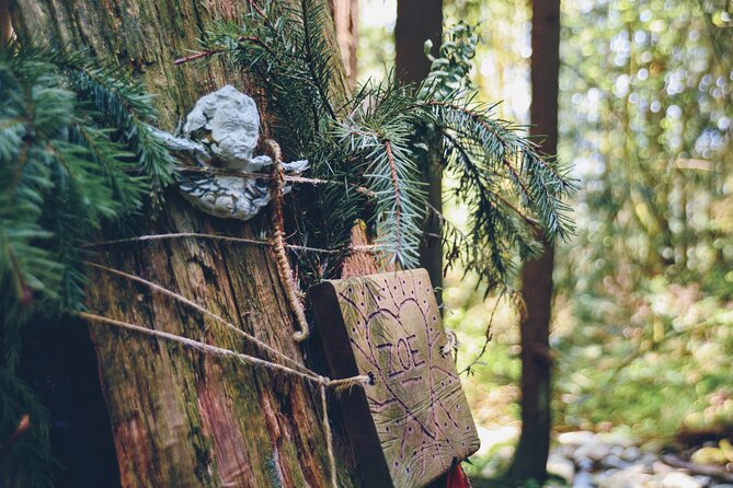 Photography & Intermediate Hiking - Who should book this outing