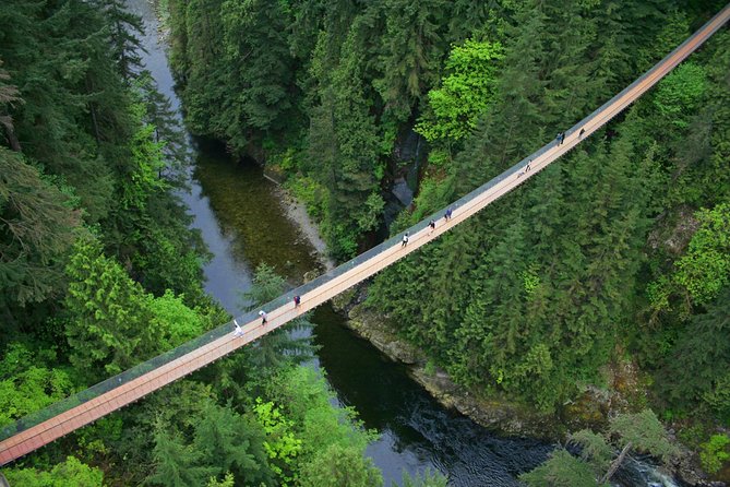 Post-cruise: Vancouver Tour with Lookout & Capilano Bridge - Stanley Park and its Indigenous art