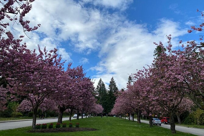 Private Guided Grand City Tour in Vancouver with your luggage - Capilano Suspension Bridge adds a paid thrill