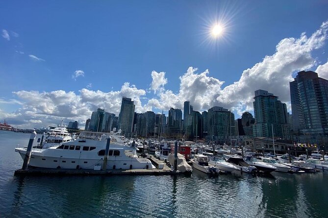 Private Guided Grand City Tour in Vancouver with your luggage - Edgemont Village is not a winery stop