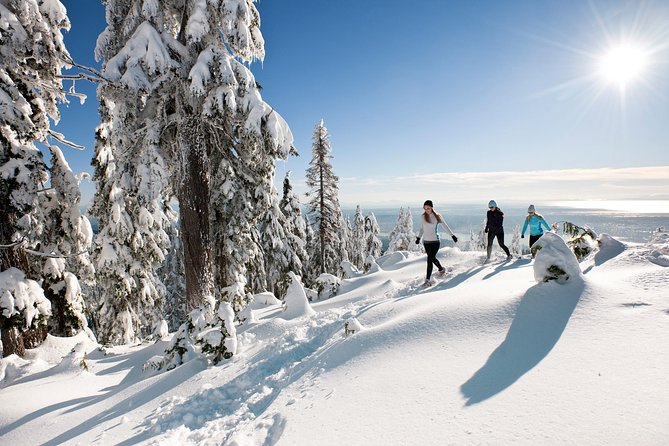 Private Tour: Capilano Suspension Bridge and Grouse Mountain - Capilano’s 446-foot crossing