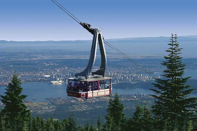 Private Tour: Capilano Suspension Bridge and Grouse Mountain - Up to Grouse Mountain by gondola
