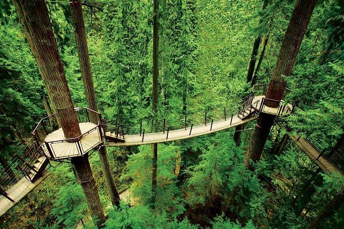 Private Tour: Capilano Suspension Bridge and Grouse Mountain - Why the private format matters