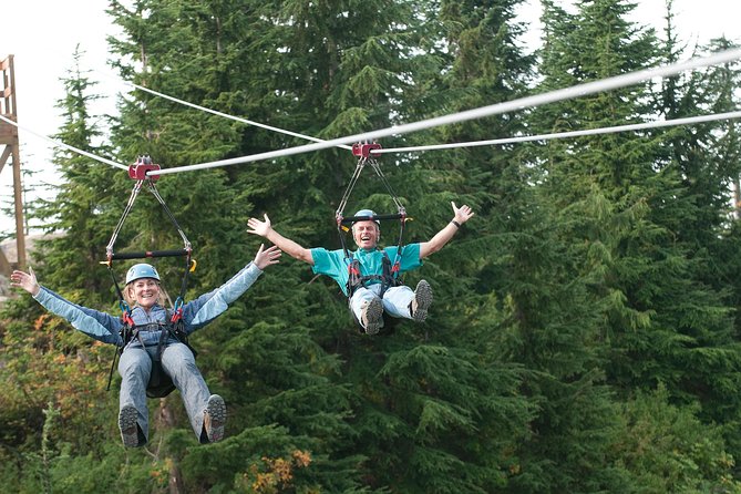 Private Tour: Capilano Suspension Bridge and Grouse Mountain - Is $367.78 per person a fair price?