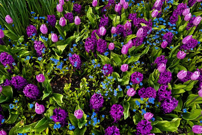 Private Tour Countryside Drive to Butchart Gardens & Victoria - Is CA$850.67 a fair price?