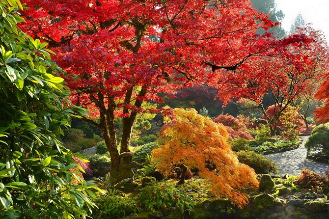 Private Tour: Gardens of Vancouver - Why the Private Format Matters