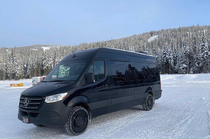Private Transfer Between Vancouver Cruise and Seattle Airport - The border crossing is the wild card