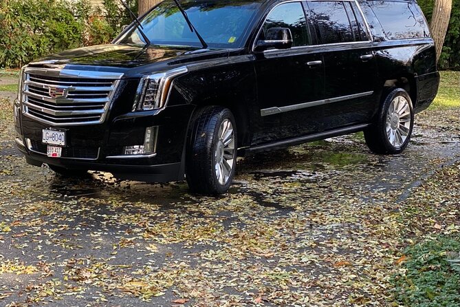 Private Transfer from Vancouver to Canada Place Cruise Terminal. - Family needs, service animals, and comfort