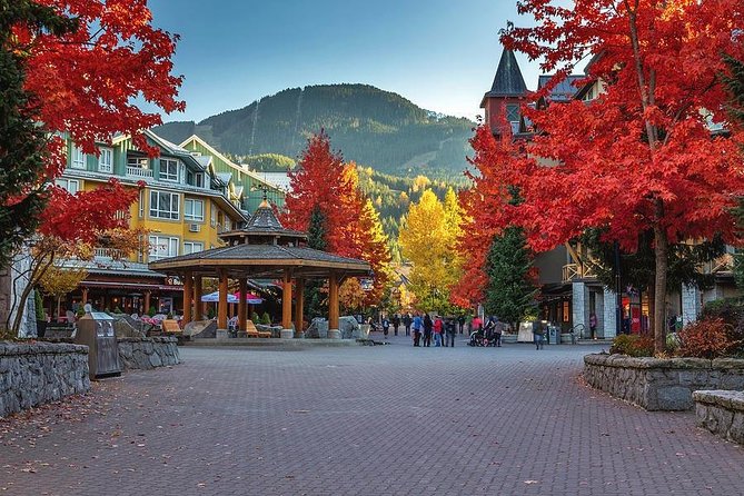 Private Whistler Day Trip from Vancouver - A private start through Stanley Park