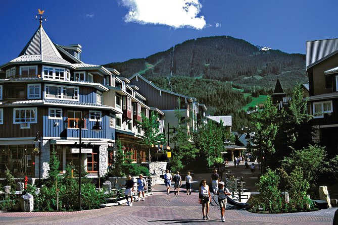Private Whistler Day Trip from Vancouver - Comfort, luggage, weather, and walking