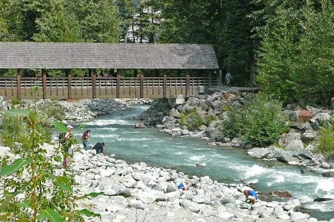 Private Whistler Day Trip from Vancouver - Who will get the most from this day