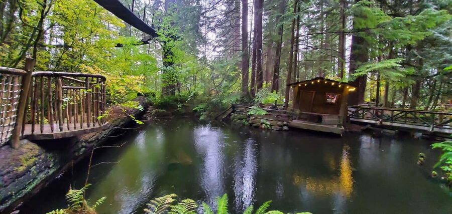 PrivateTour Capilano Br+Granville Islan+Hatchery+Lynn Canyon - Small details that make the day easier