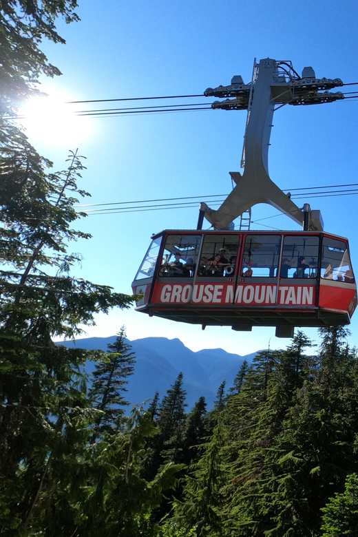 PrivateTour Capilano Br+Granville Islan+Hatchery+Lynn Canyon - What $189 per person really covers