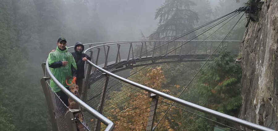 PrivateTour Capilano Br+Granville Islan+Hatchery+Lynn Canyon - Vehicle size, pickup, and group comfort